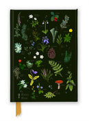 Anna Stead: The Forest Floor (Foiled Journal)-9781835626801