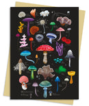 Anna Stead: Mushrooms & Fungi Greeting Card Pack : Pack of 6-9781835627006