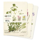 Royal Botanic Gardens Edinburgh Set of 3 Standard Notebooks-9781835628591