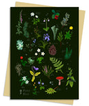 Anna Stead Forest Floor Greeting Card Pack : Pack of 6-9781835628843