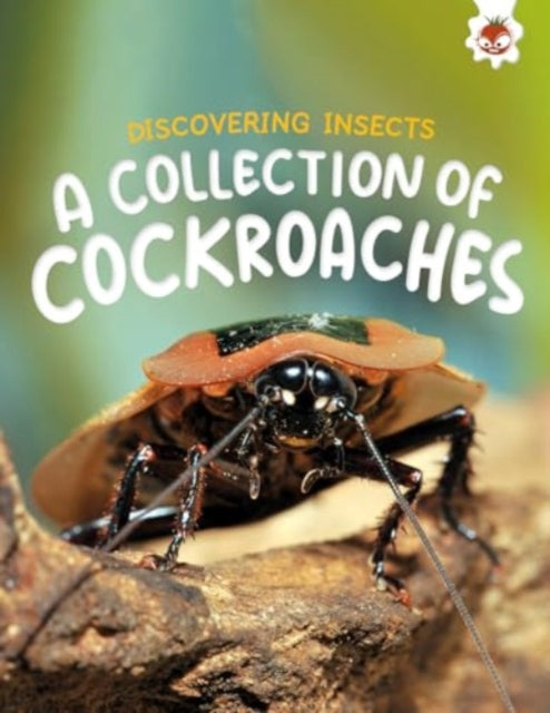 Discovering Insects: A Collection of Cockroaches-9781835694152