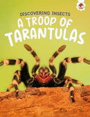 Discovering Insects: A Troop of Tarantulas-9781835694176
