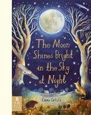 Moon Shines Bright in the Sky at Night