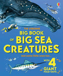 Big Book of Big Sea Creatures-9781836040194