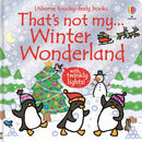 That's not my... Winter Wonderland-9781836042167