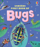 Usborne First Book of Bugs