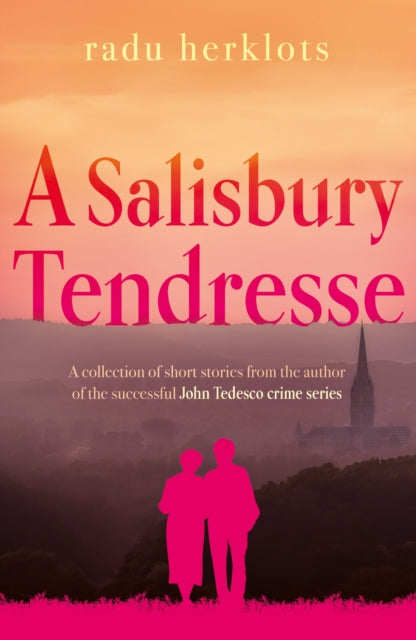 A Salisbury Tendresse-9781836280163