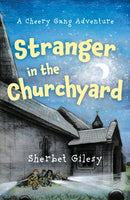 Stranger in the Churchyard-9781836286004