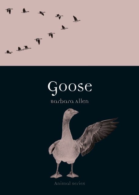 Goose
