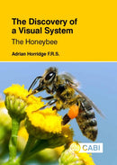 Discovery of a Visual System: The Honeybee