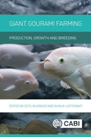 Giant Gourami Farming