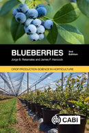Blueberries