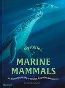 Mysteries of Marine Mammals : An Illustrated Guide to Whales, Dolphins, and Porpoises-9781837290208
