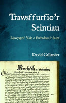 Trawsffurfio'r Seintiau : Llawysgrif Yale o Fucheddau'r Saint-9781837721207