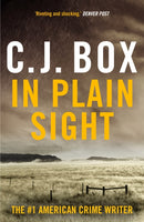In Plain Sight-9781837931941