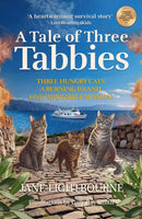 Tale of Three Tabbies