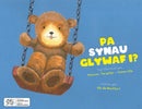 Pa Synau Glywaf i?-9781838345969