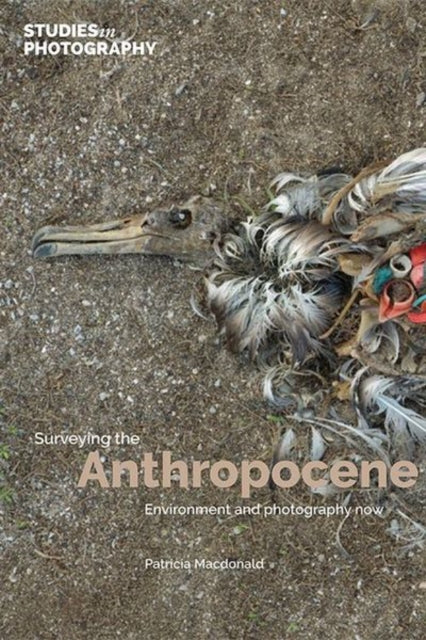Surveying the Anthropocene: