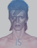 David Bowie Is-9781838510589