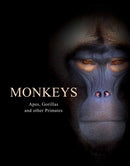 Monkeys : Apes, Gorillas and other Primates-9781838861001