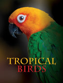 Tropical Birds-9781838861964