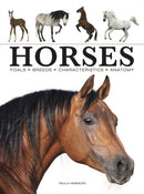 Horses-9781838862596