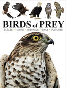 Birds of Prey-9781838863555