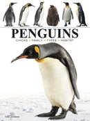 Penguins-9781838863609