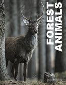 Forest Animals-9781838863654