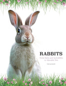 Rabbits-9781838863708