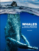 Whales & Dolphins-9781838864248