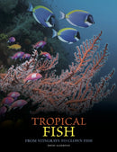 Tropical Fish : From Stingrays to Clown Fish-9781838865511