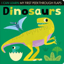 Dinosaurs-9781838911898