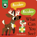 Reindeer! Reindeer! What Can You See?-9781838918323