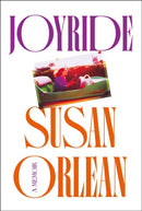 Joyride : A Memoir-9781838955496