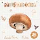 Mushroom-9781839271571