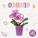 Orchid-9781839271588
