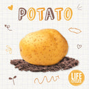 Potato-9781839271595