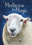 Merlin finds his Magic-9781839527357