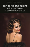 Tender is the Night / The Last Tycoon-9781840226638