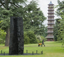 David Nash : A Natural Gallery-9781842464632