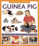 How to Look After Your Guinea Pig-9781843227687
