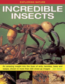 Exploring Nature: Incredible Insects : An Amazing Insight into the Lives of Ants, Termites, Bees and Wasps, Shown in More Than 220 Close-up Images-9781843229117