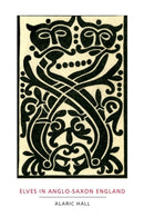 Elves in Anglo-Saxon England : Matters of Belief, Health, Gender and Identity-9781843835097