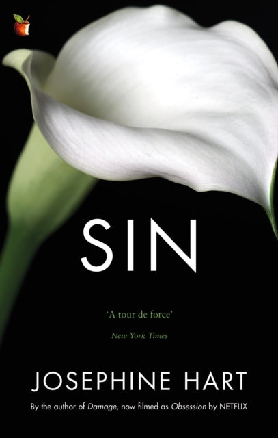 Sin : By the author of DAMAGE, inspiration for the Netflix series OBSESSION-9781844087174