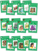 Jolly Phonics Readers, Complete Set Level 3 : In Precursive Letters (British English edition)-9781844140909