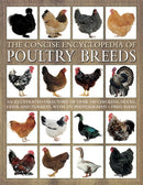 Concise Encyclopedia of Poultry Breeds-9781844760589