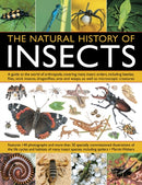 Natural History of Insects-9781844764686