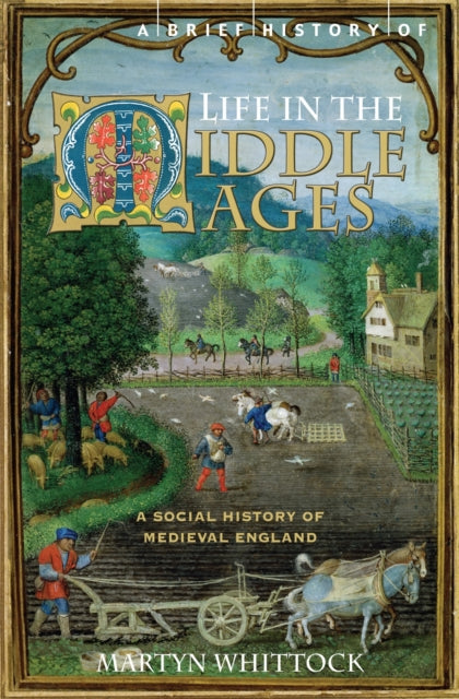A Brief History of Life in the Middle Ages-9781845296858