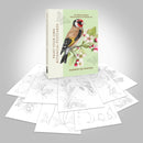 Paint-Your-Own Botanical Postcards : 24 detachable postcards to paint in-9781846017100